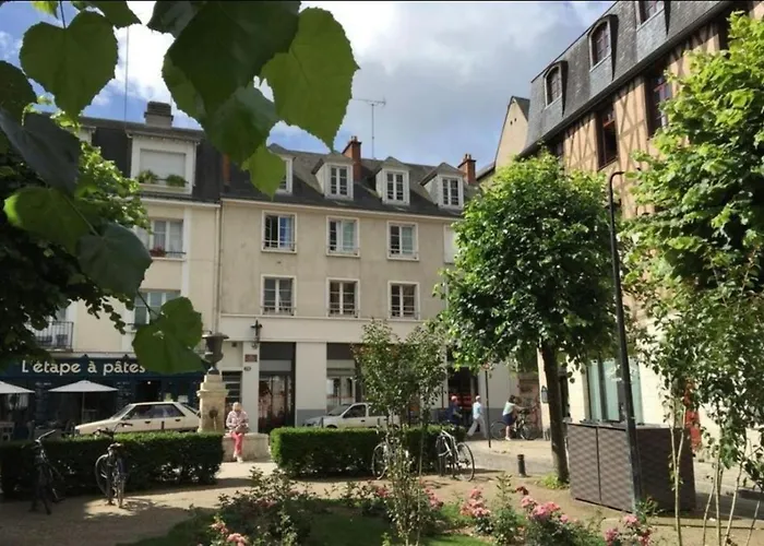 Le Colbert Vue Loire Dans Le Centre Historique De Tours
