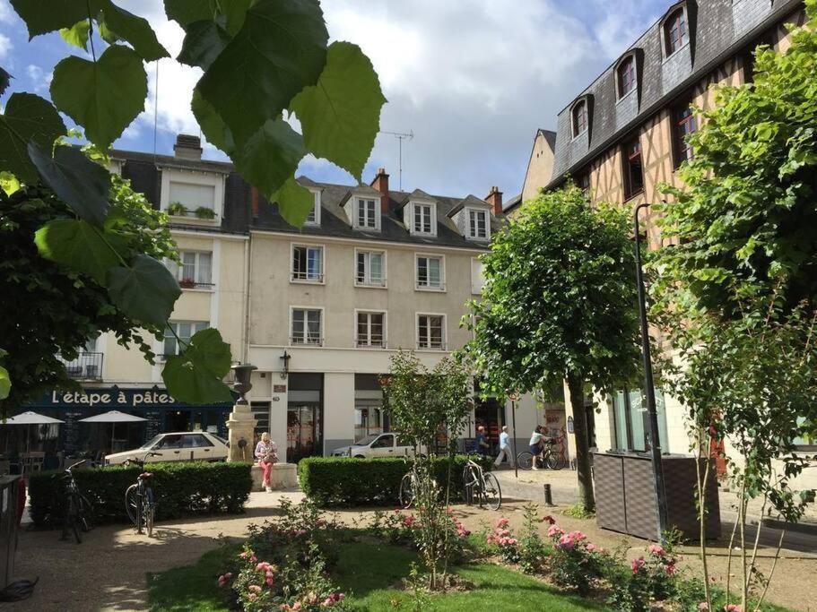 Le Colbert Vue Loire Dans Le Centre Historique De Tours