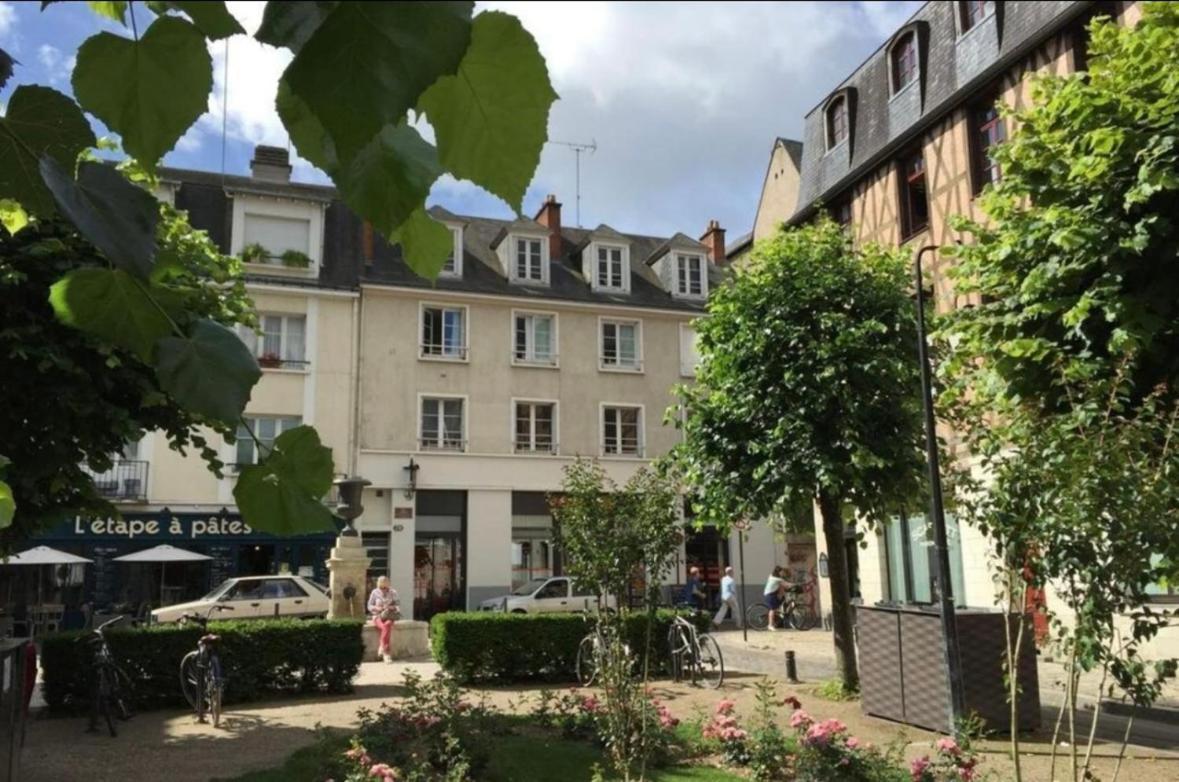 Le Colbert Vue Loire Dans Le Centre Historique De Tours